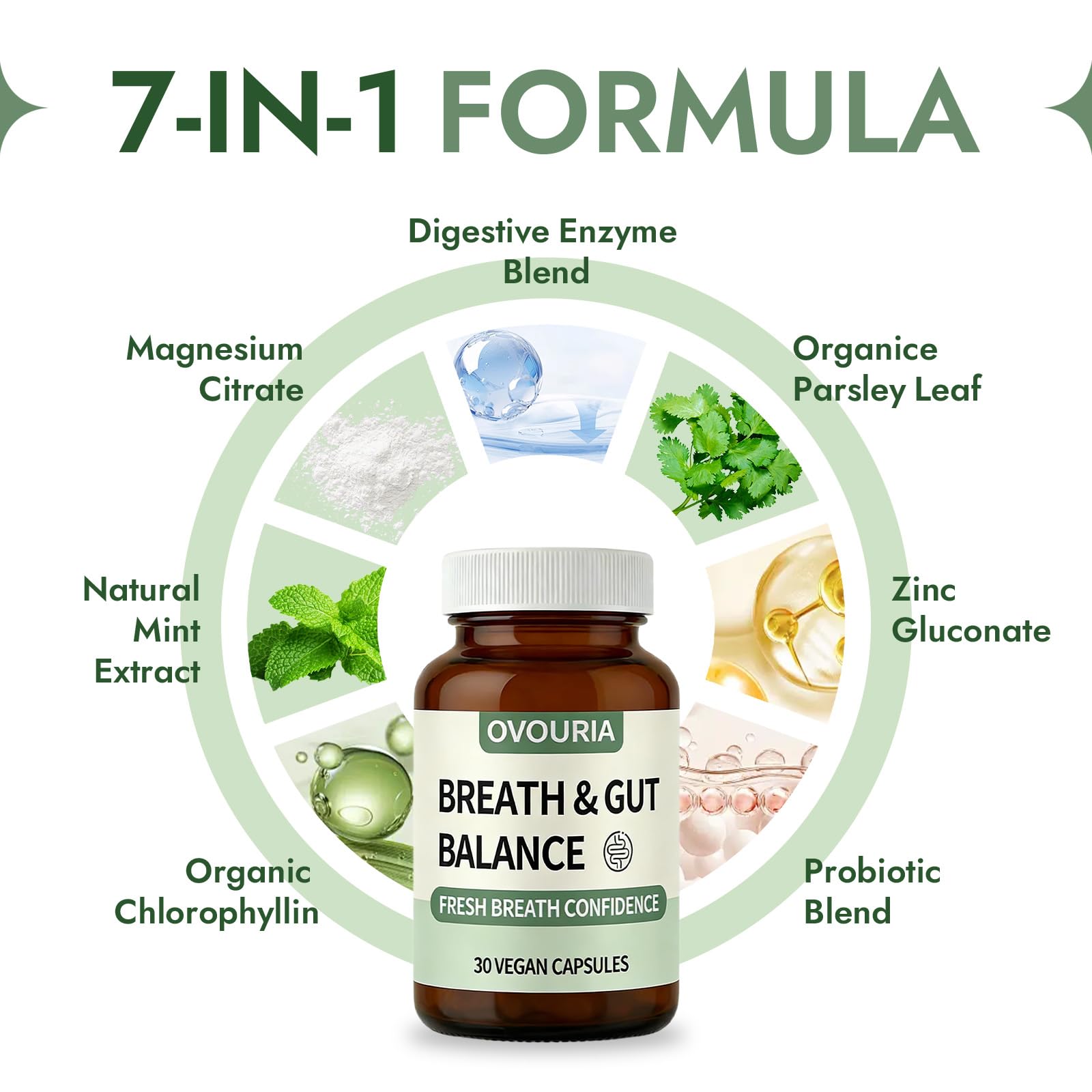 ZPX Ovouria: chlorophylline biologique, soutien à une sensation de fraîcheur naturelle.