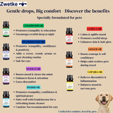 ZWETKE gingembre pour diffuseur, énergie légère et ambiance chaleureuse.