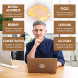 Zylvrax complexe Ashwagandha Rhodiola Bacopa Huperzine A — soutien cognitif.