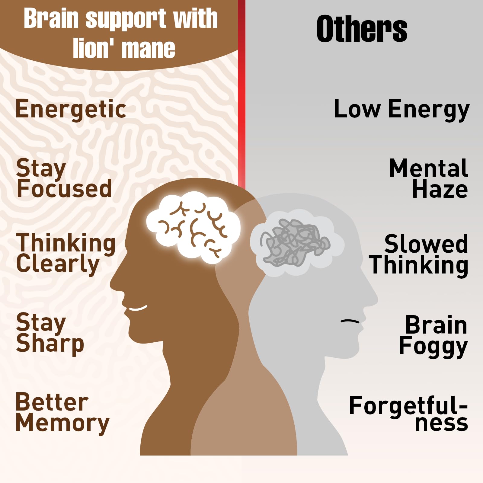 Zylvrax gélules cortisol équilibre — énergie et endurance quotidienne.