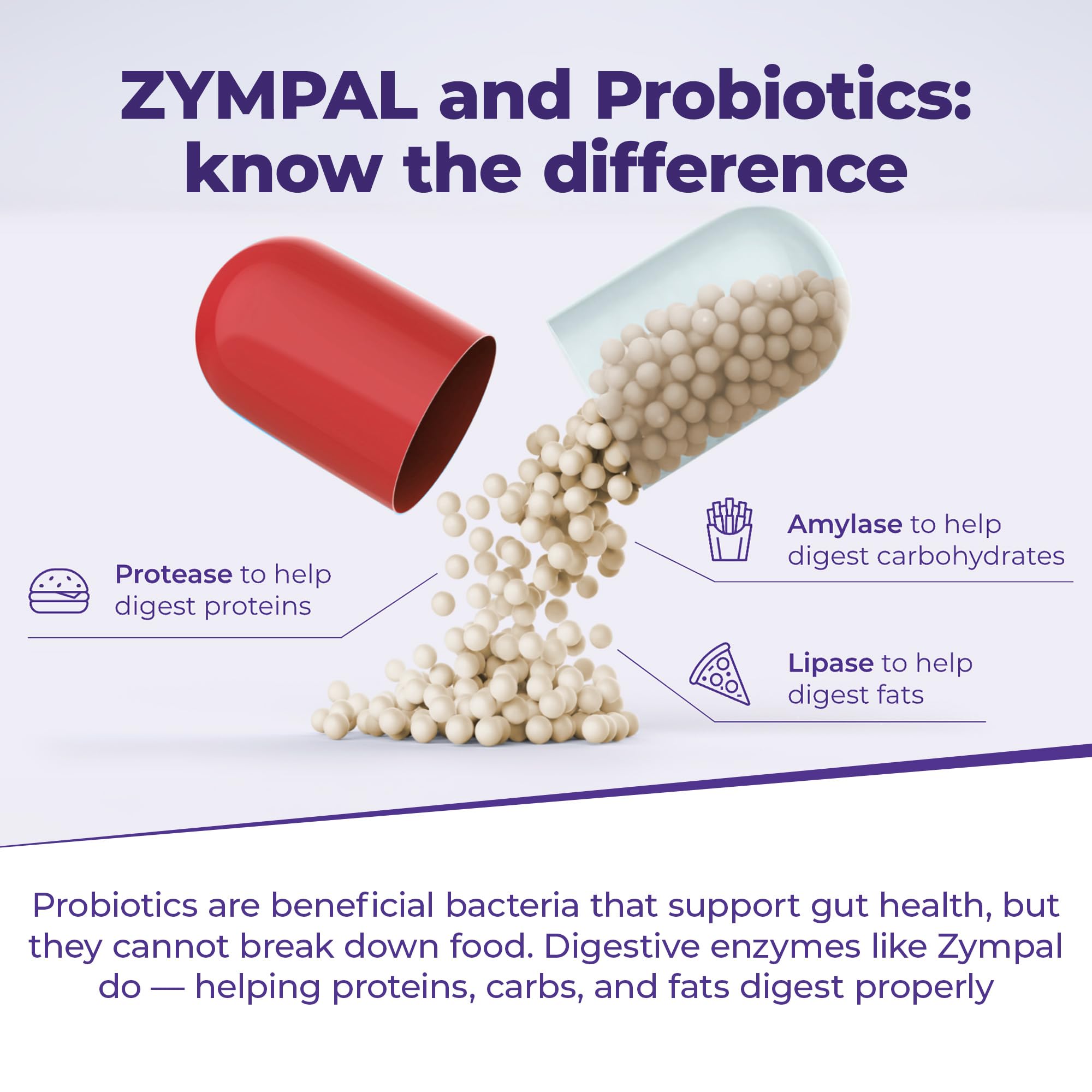 ZYMPAL coques entériques protègent les enzymes jusqu’à l’intestin.
