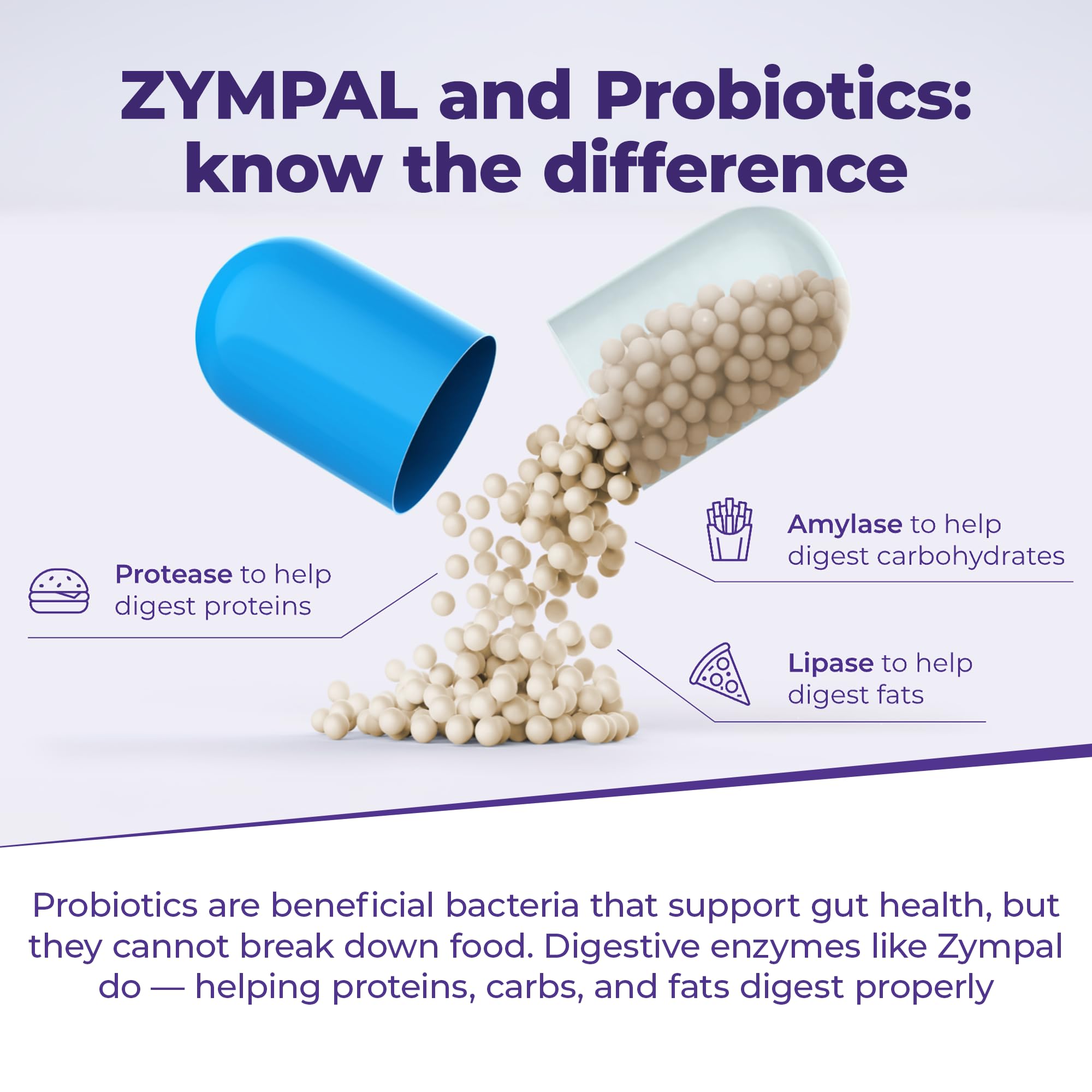 ZYMPAL: étiquette pancrelipase avec traçabilité et sécurité.