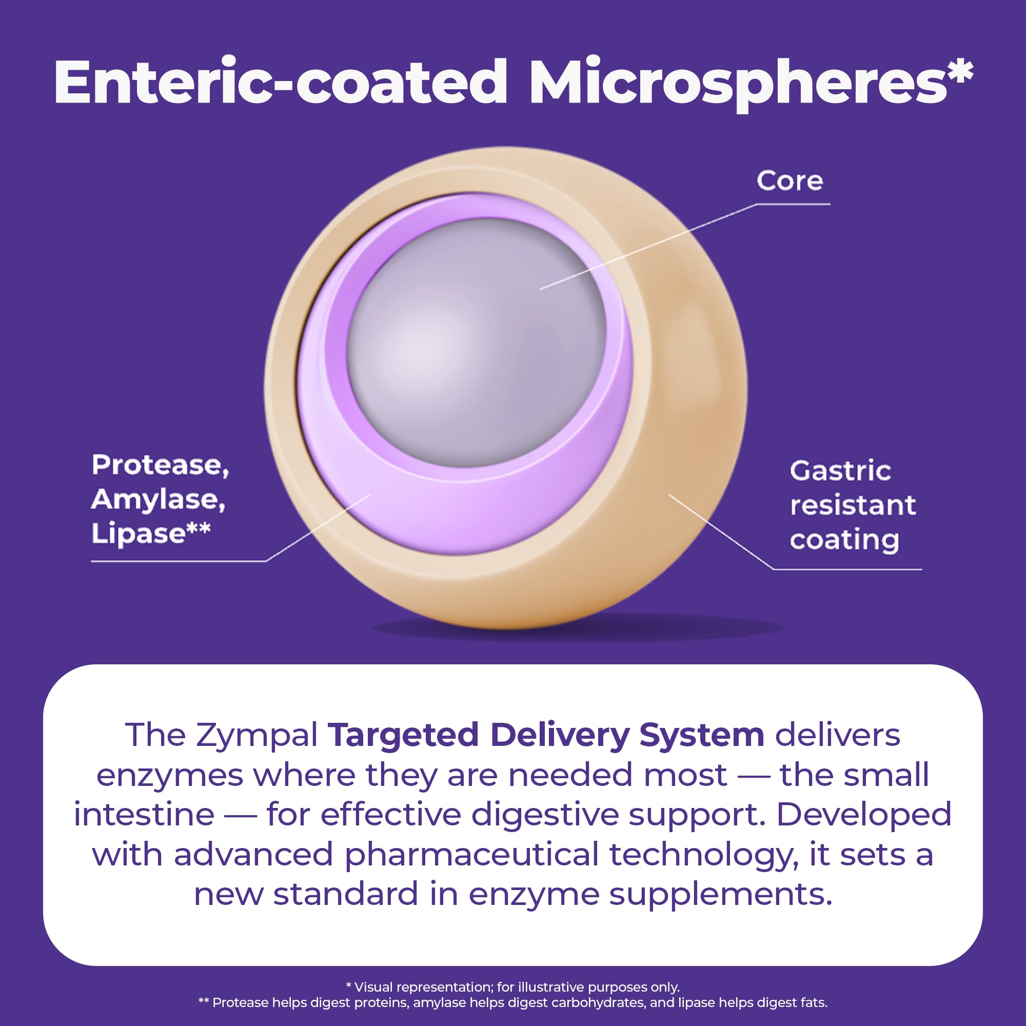 ZYMPAL: illustration impliquant une santé intestinale et bien-être digestif.