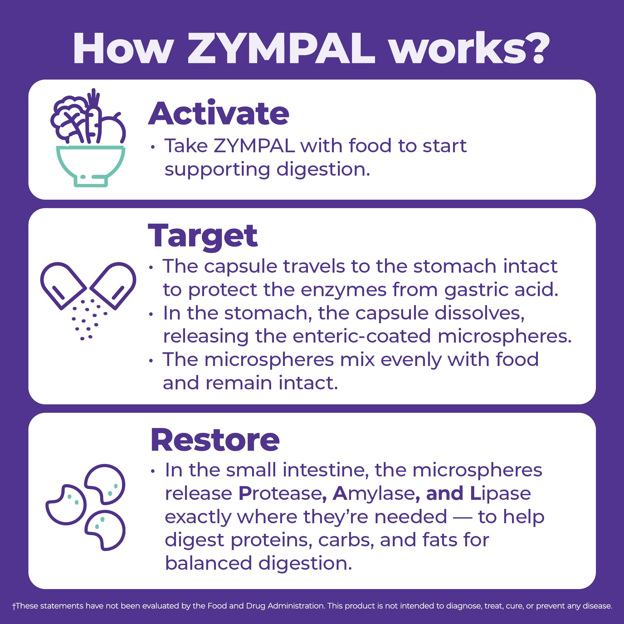 ZYMPAL: tableau des ingrédients montrant lipase, amylase et protéase pour digestion.