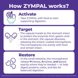 ZYMPAL: tableau des ingrédients montrant lipase, amylase et protéase pour digestion.