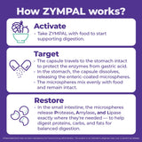 ZYMPAL usage après repas optimisé pour soulager les inconforts digestifs.