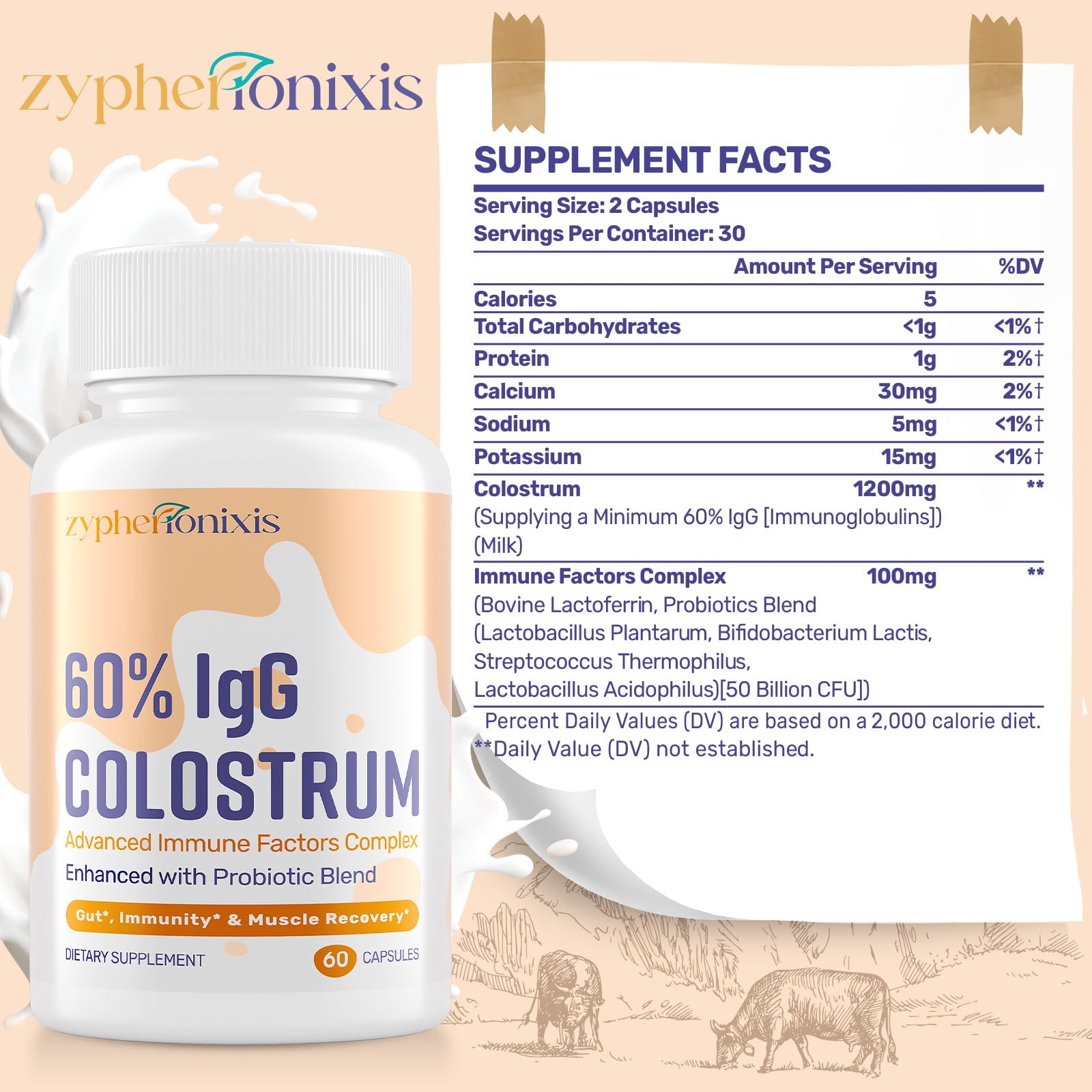 Zypherionixis IgG élevé à 60% pour soutenir potentiellement les défenses naturelles.