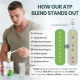 Zypherionixis Poudre L-Citrulline Performance: amélioration possible de la circulation et endurance