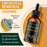 Formulation avec prébiotiques et gingembre pour une expérience douce.